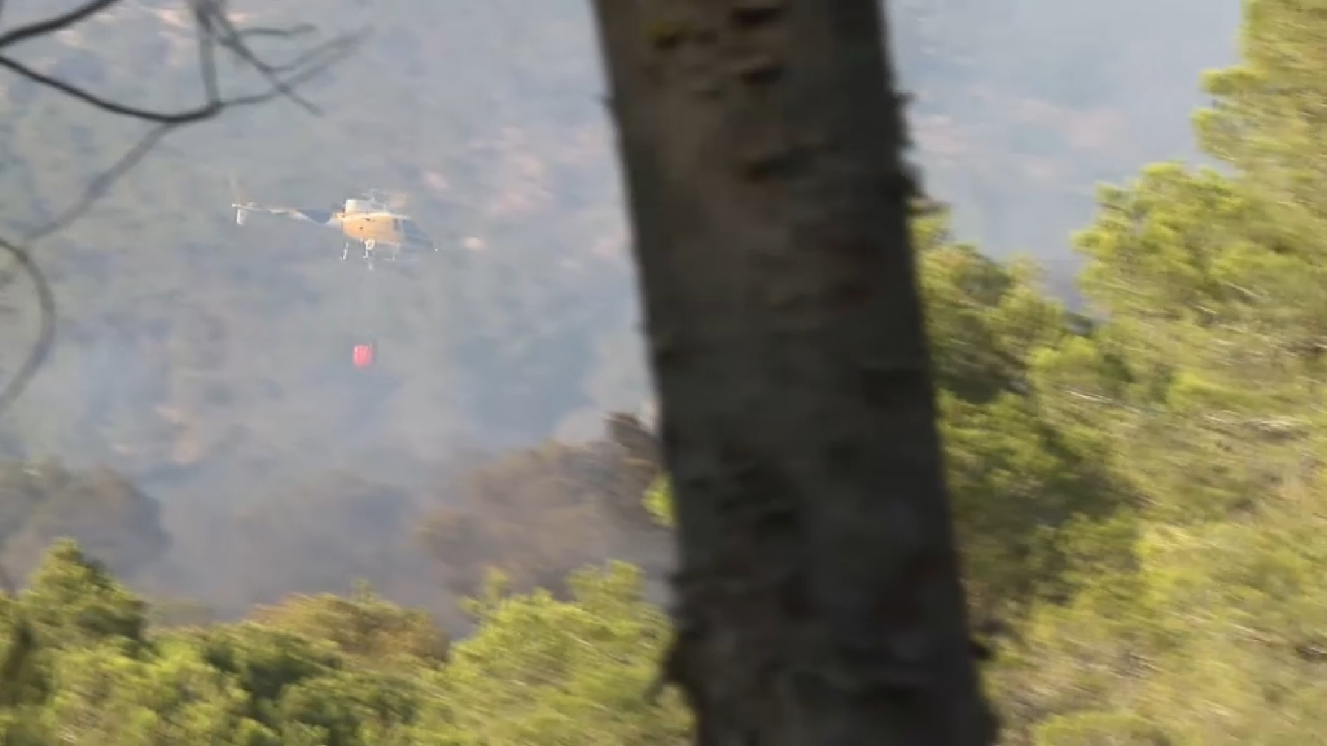Estabilitzat l’incendi forestal de Cala d’Hort