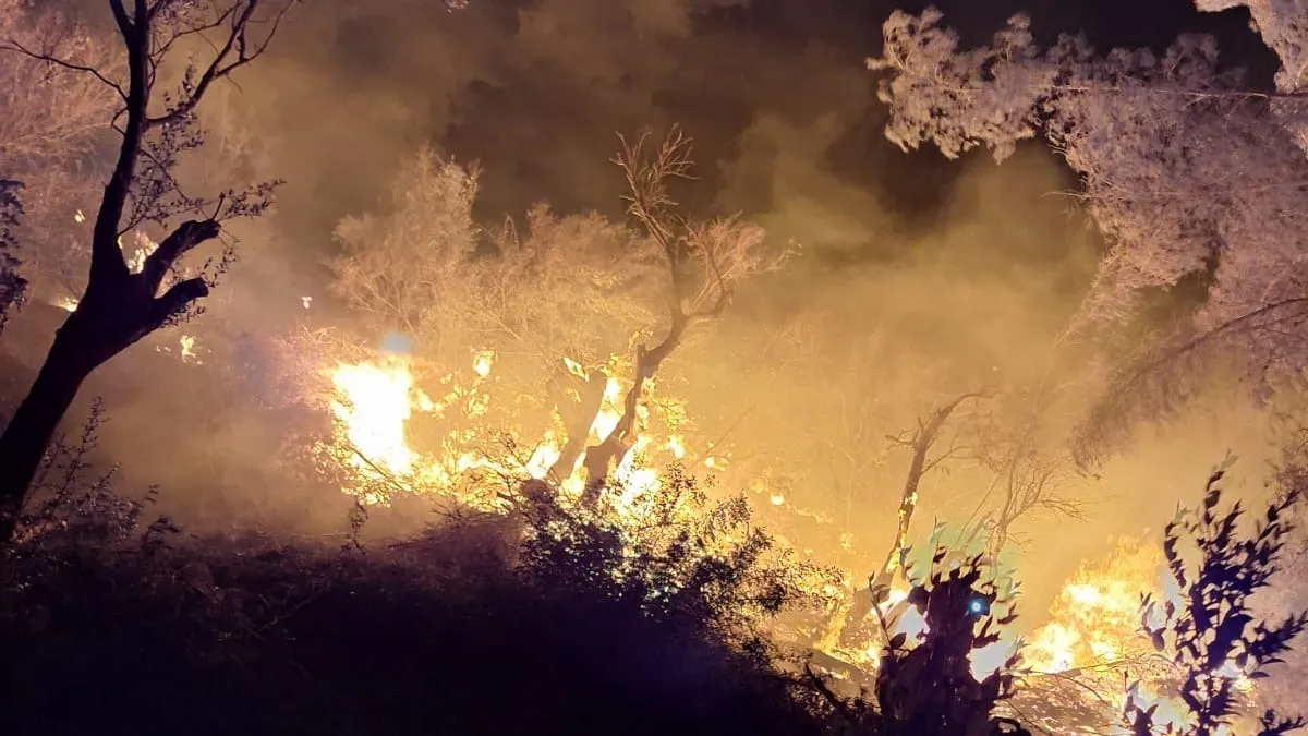 Controlat l’incendi a Alconàsser, Sóller