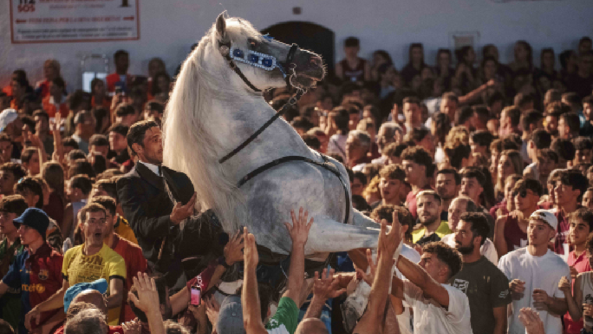 La Junta Municipal de Sant Joan beneeix els canvis de la festa: hi haurà menys cavalls