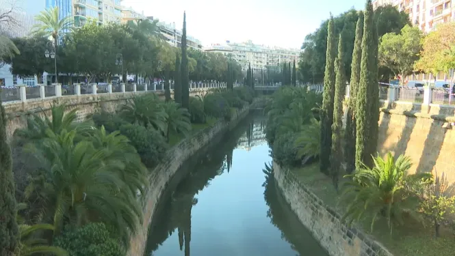 Investiguen la mort d’un home que ha aparegut al torrent de sa Riera, a Palma
