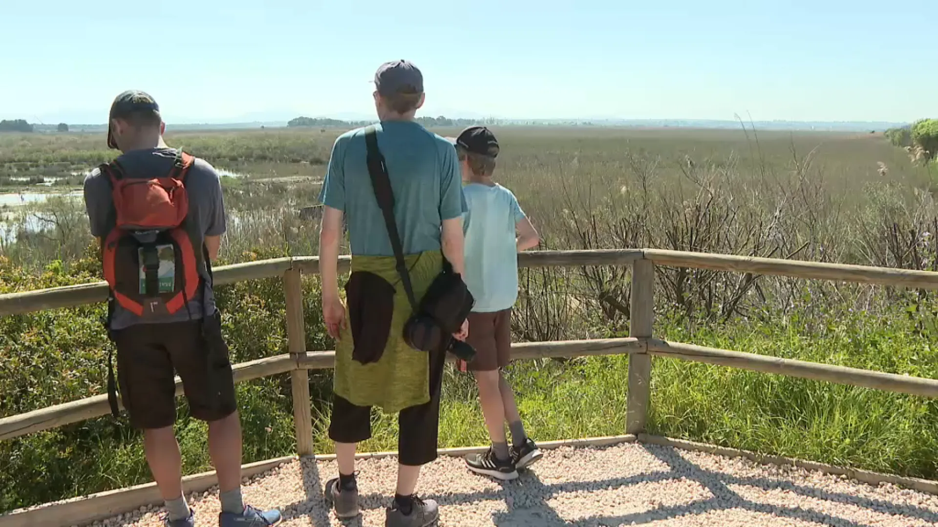 Allau de visitants a s’Albufera: fins i tot han arribat a considerar tancar-lo per no destorbar les aus