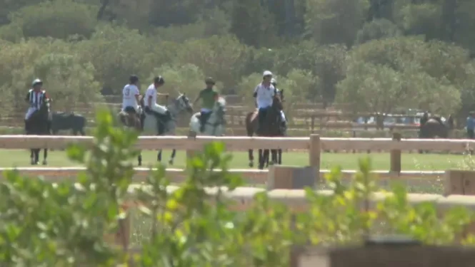 L’Agència de Defensa del Territori obrirà expedient a la finca de Campos on se celebrava un partit de polo
