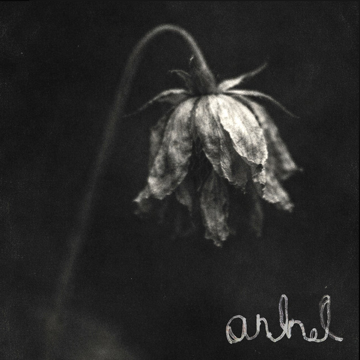 Anhel (Bubota)