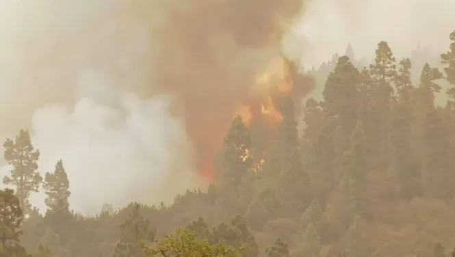 Cinquena jornada de l’incendi de Tenerife: 12.000 veïns afectats i més d’11.000 hectàrees cremades