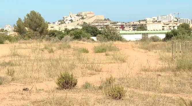 El programa de ‘Lloguer Segur’ del Govern s’adaptarà a la realitat del mercat immobiliari de les Pitiüses
