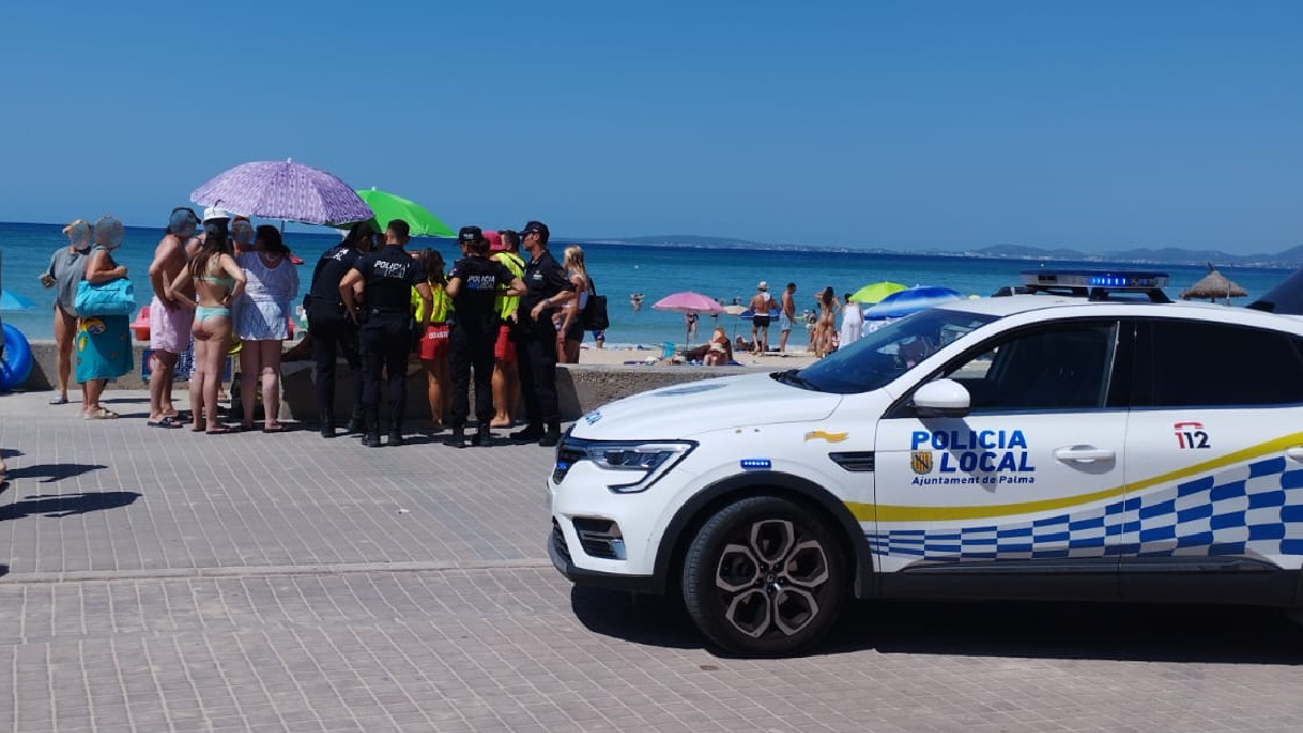 Tanquen al bany un tram de Platja de Palma per un tall amb el fibló d’un “animal marí”