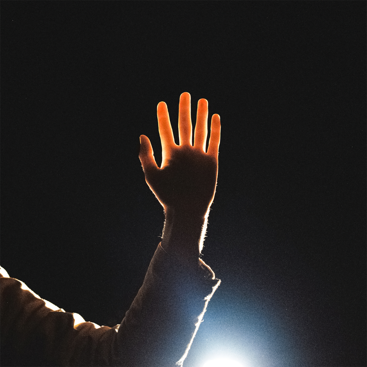 Portada del disc publicat per Verlaat