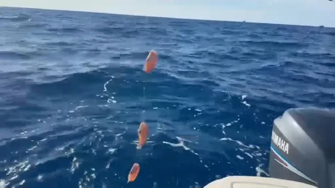 Centenars d’aficionats a la pesca del raor d’Eivissa aprofiten el primer dia d’aixecament de la veda per sortir a la mar