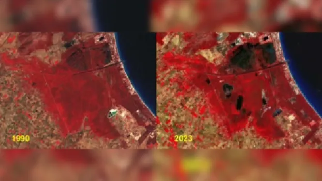 La salinització de l’Albufera de Mallorca n’amenaça la seva supervivència