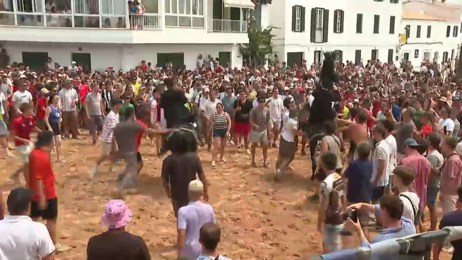Mor un cavall a Fornells durant el Jaleo de dissabte