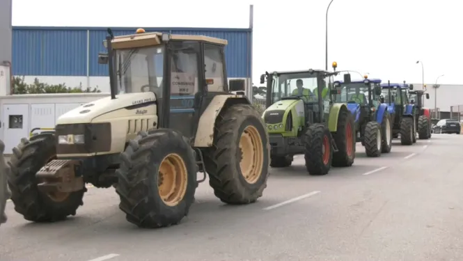 Tractorada a Menorca: una cinquantena de vehicles omplen la carretera general