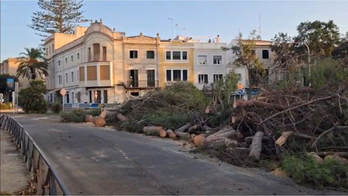 Les tempestes deixen 1.600 clients sense llum i ja sumen 109 incidents a les Balears