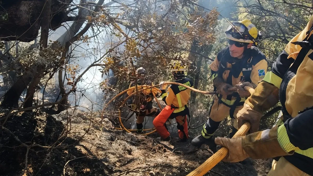 Extingit l’incendi forestal a Estellencs