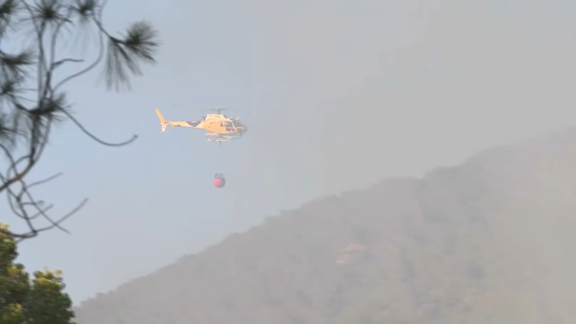 Incendi forestal a Cala d’Hort, a Eivissa
