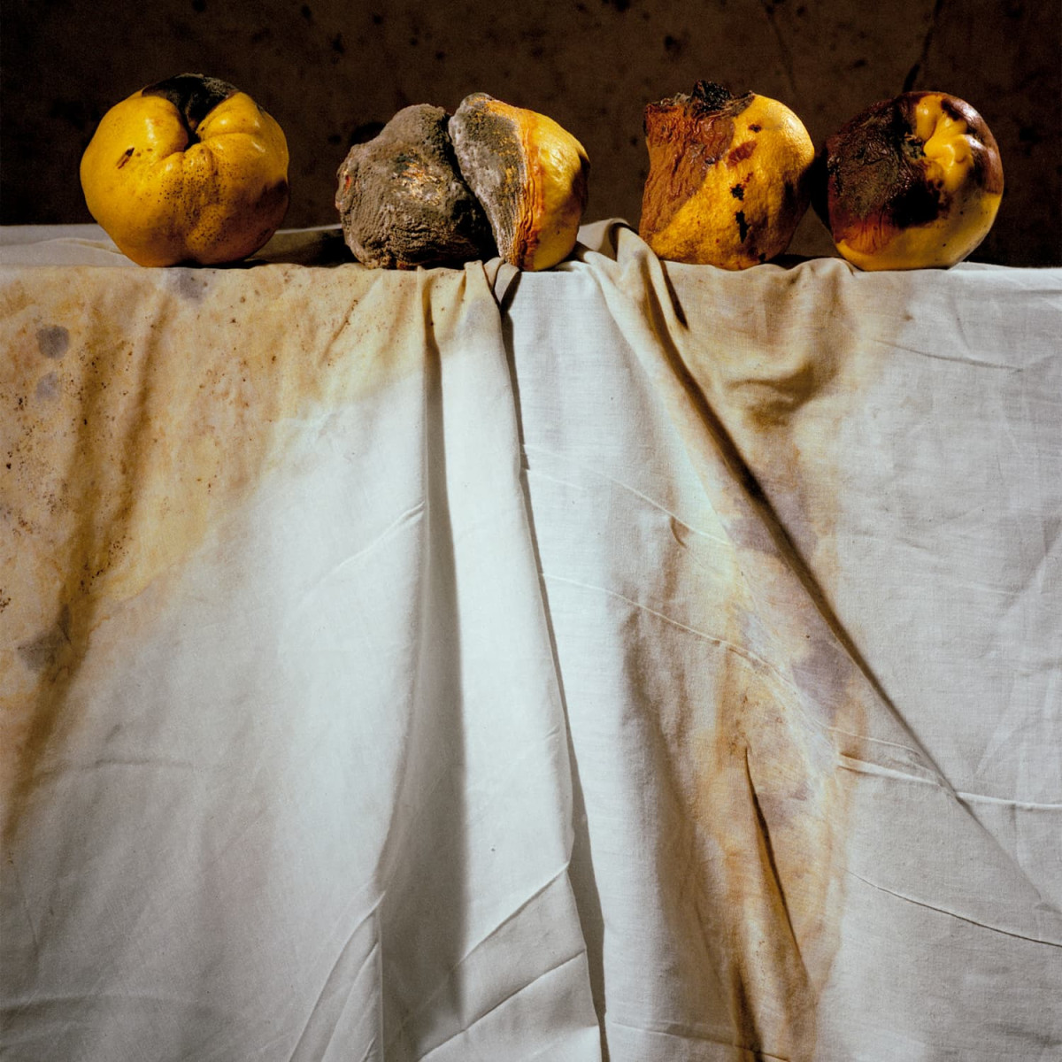 Camí Florit (RGB Suports, 2025)