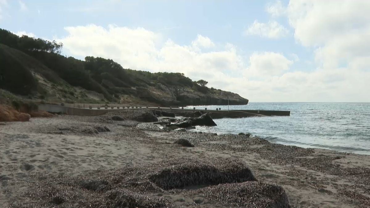 Troben a una platja de Menorca el cadàver d’un migrant, segons la principal hipòtesi