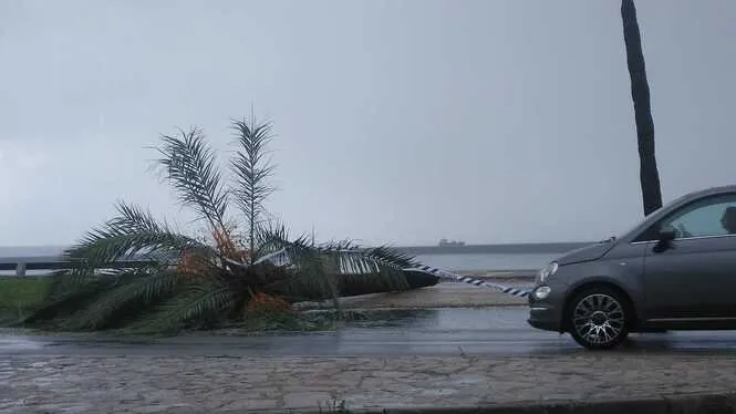 La tempesta deixa nombrosos incidents