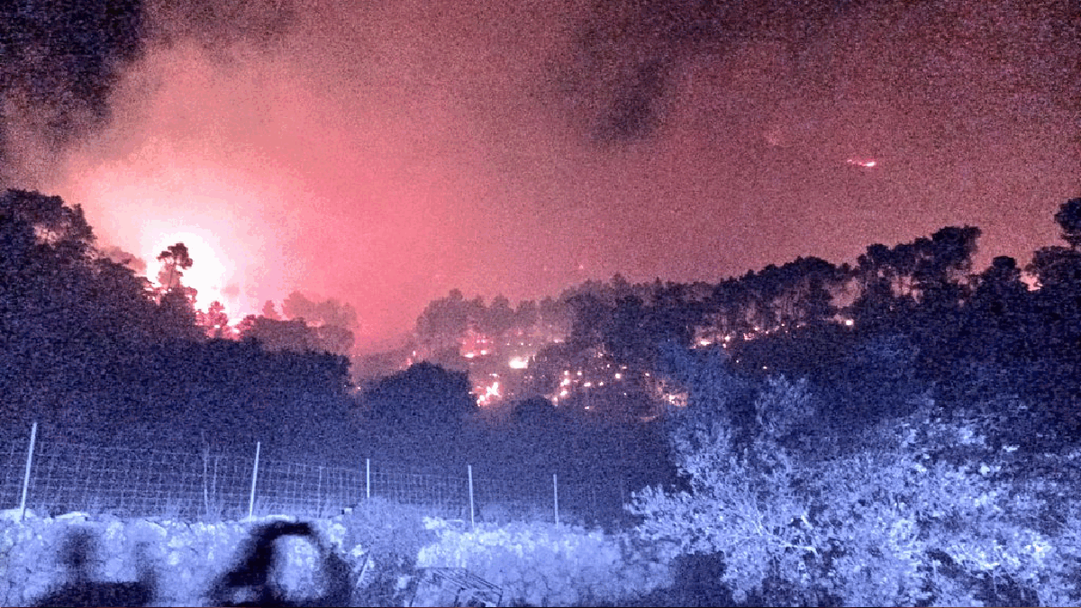 Incendi forestal descontrolat a Andratx: les flames han cremat unes 70 hectàrees