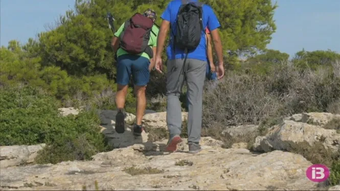 La UIB i l’IB-Salut faran seguiment del tractament ambulatori i, eventualment, hospitalari per picada de paparra
