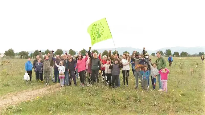 Arxivat el projecte del parc solar a Son Bonet en haver caducat el permís per connectar-lo a la xarxa