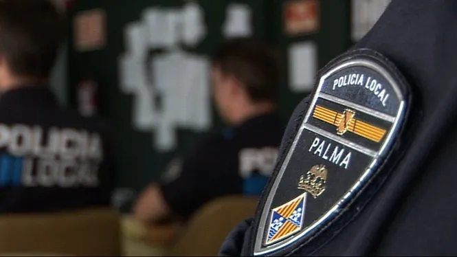 Més de 250 articles de venda ambulant intervinguts a Dalt Murada de Palma