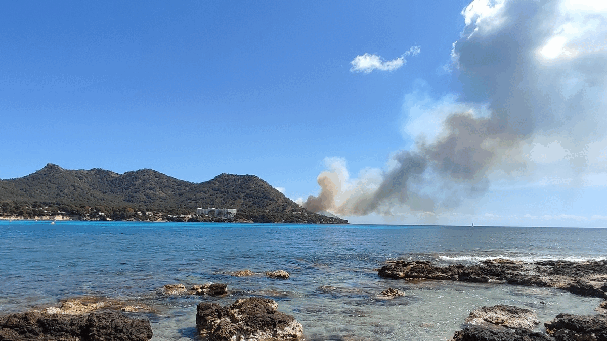 Una crema descontrolada mentre es netejava el torrent, principal causa de l’incendi a Costa des Pins