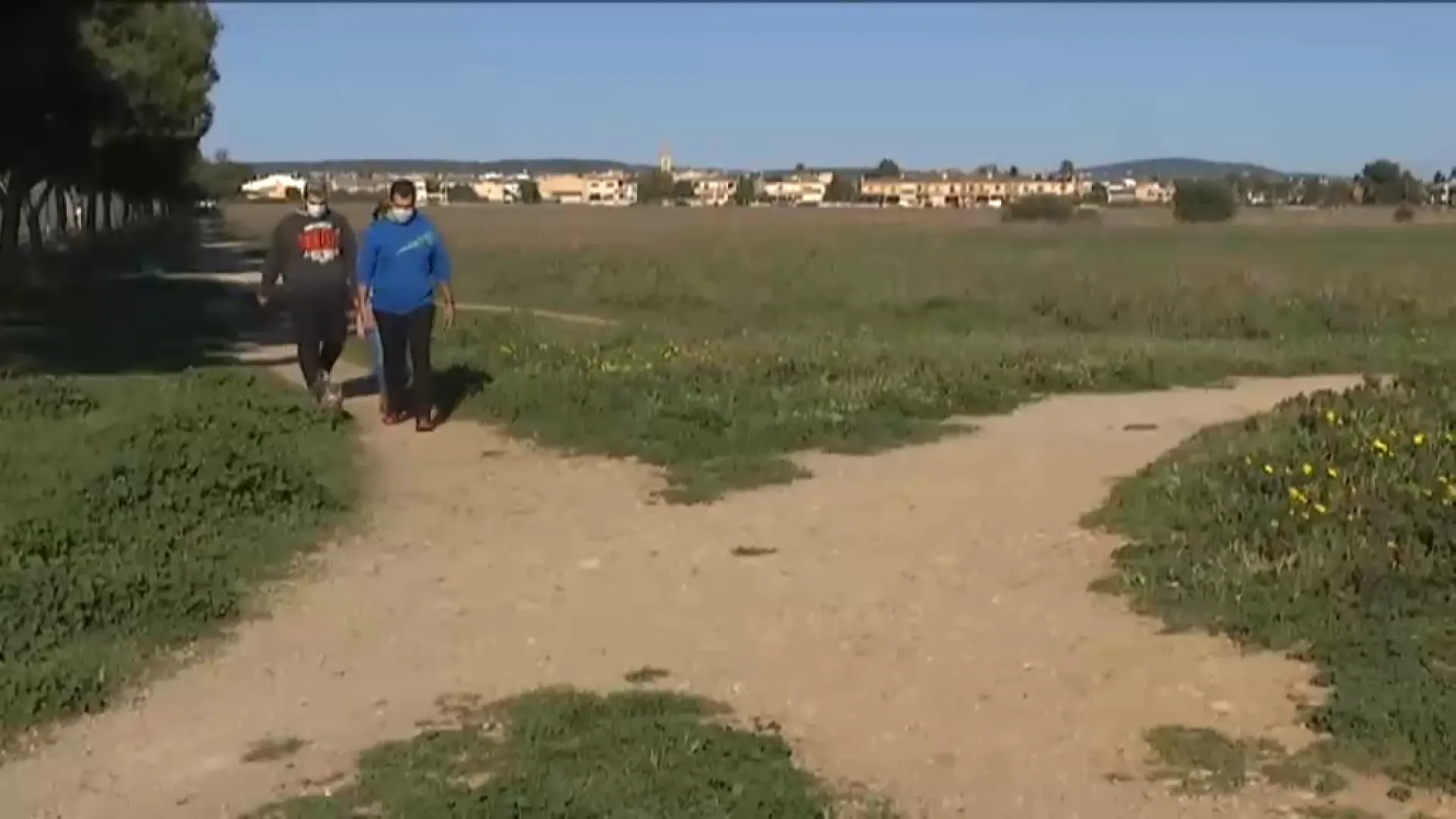 El director de l’aeroport de Palma afirma que el parc fotovoltaic de Son Bonet continuarà endavant