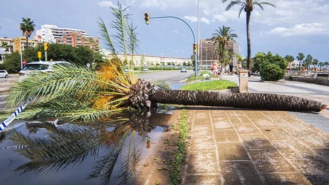 El dia després del temporal: Emergències eleva a 366 els incidents ocorreguts arreu de l’arxipèlag aquest diumenge