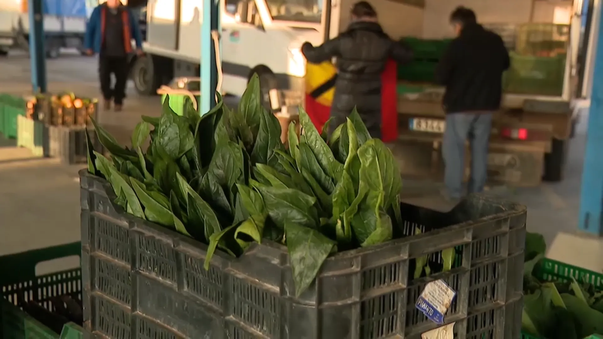 La tempesta Juliette retarda la recollida de les fruites i hortalisses dels productors de Balears