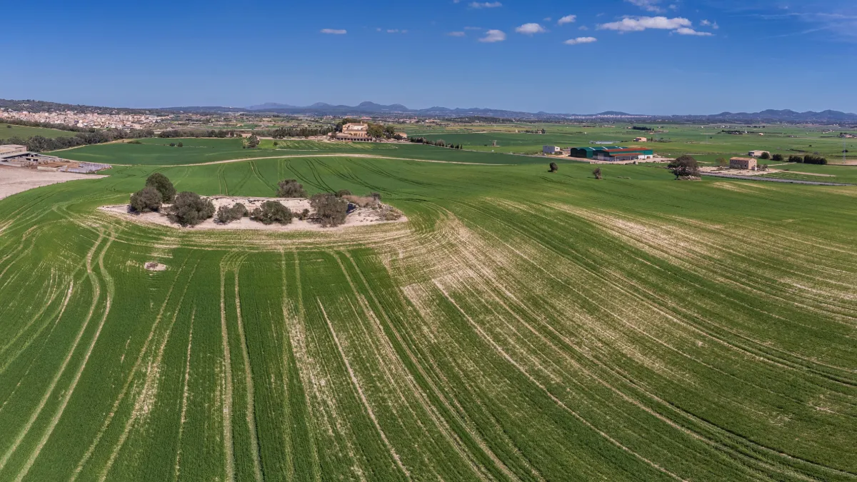 En els darrers 8 anys s’han autoritzat més de 3.000 nous habitatges en sòl rústic a Mallorca