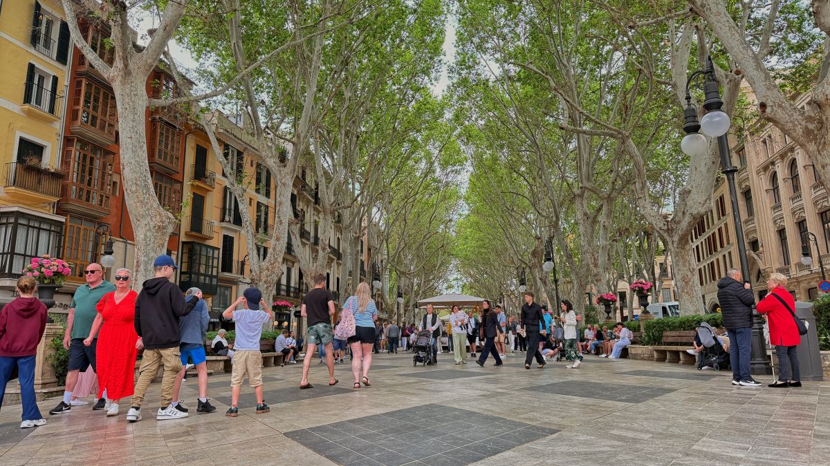 Palma, la cinquena destinació de tot el món més sol·licitada segons un estudi
