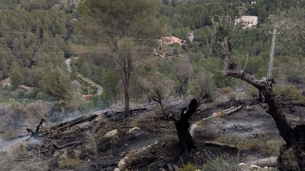 Testimoni de l’incendi a Sóller: “Hem hagut de passar el vespre dins el cotxe perquè no podíem tornar enrere, era massa perillós”