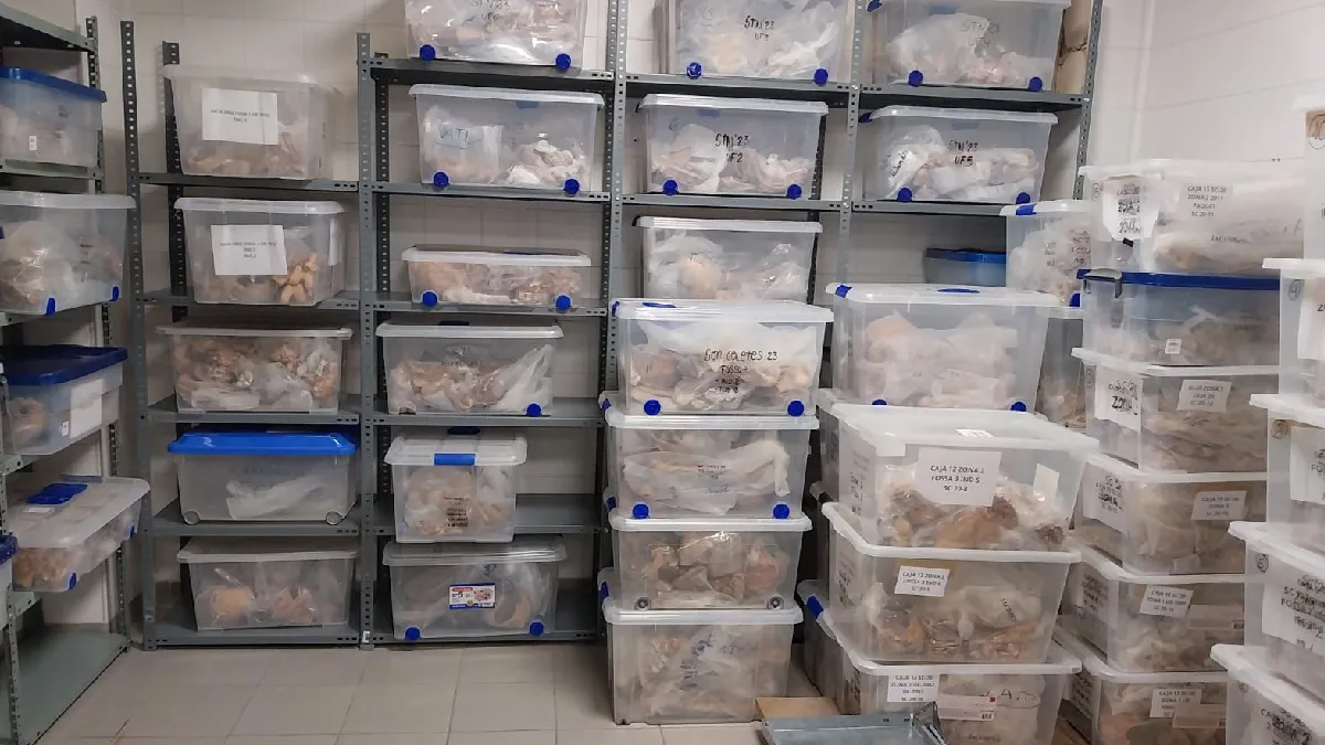 El Govern localitza 24 cossos en el marc del IV Pla de fosses