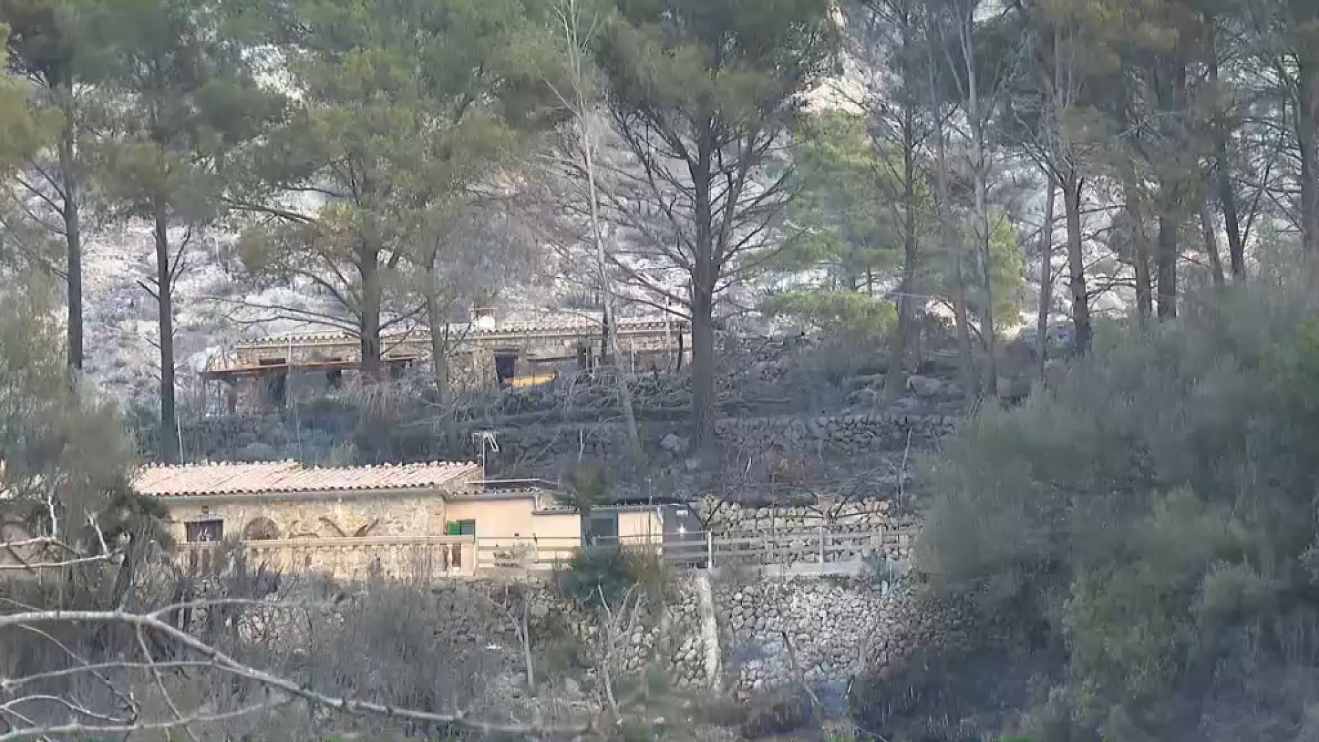 L’incendi d’Andratx continua descontrolat amb dos fronts actius