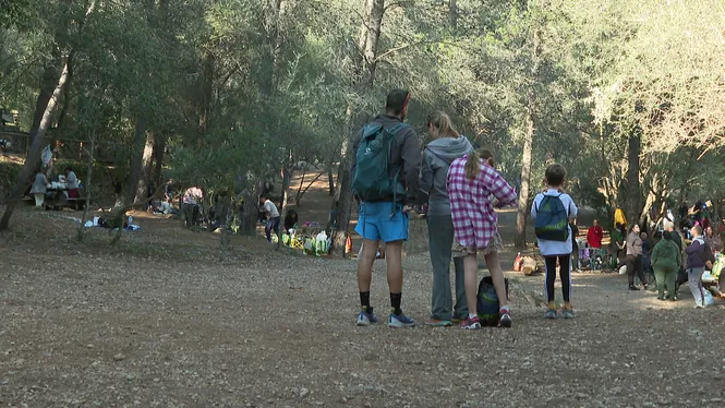 Les famílies aprofiten el darrer dia del pont de desembre per torrar a Son Tries, a Esporles
