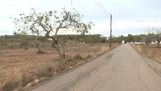 La família de la dona morta a Santa Eulària demana col·laboració per trobar el presumpte conductor que la va atropellar