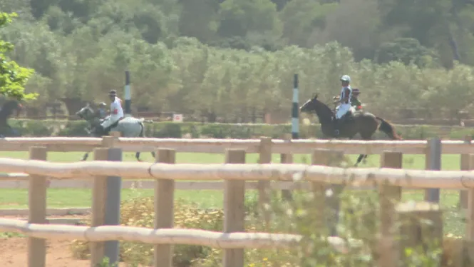 A Mallorca es juga a polo