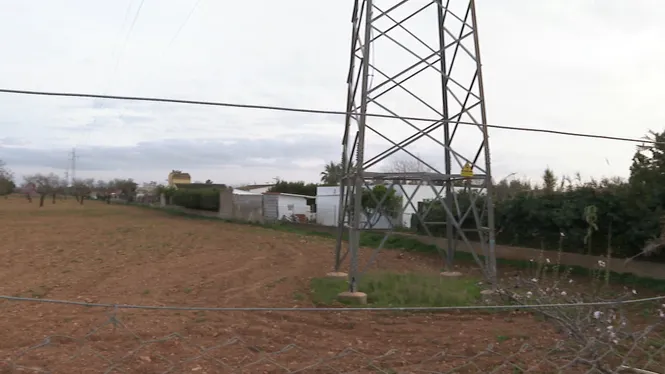 Front comú dels veïns de Marratxí per aturar la vintena de parcs fotovoltaics projectats al municipi