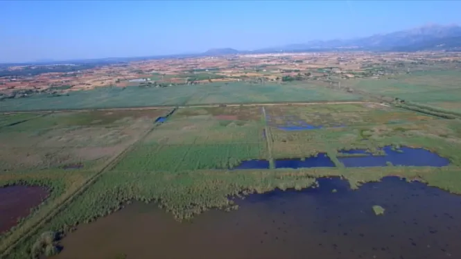 L’Albufera pateix la pitjor sequera de la darrera dècada