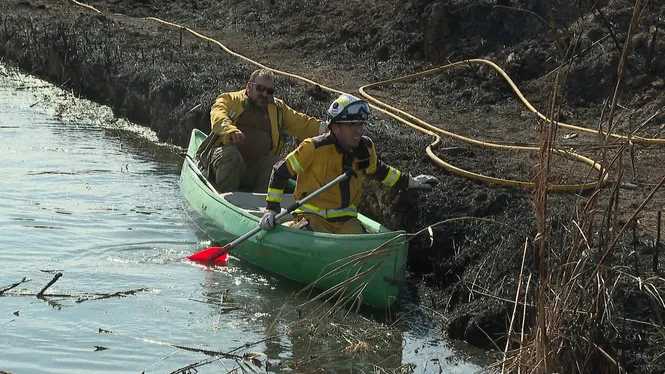 Investiguen la causa de l’incendi de s’Albufera