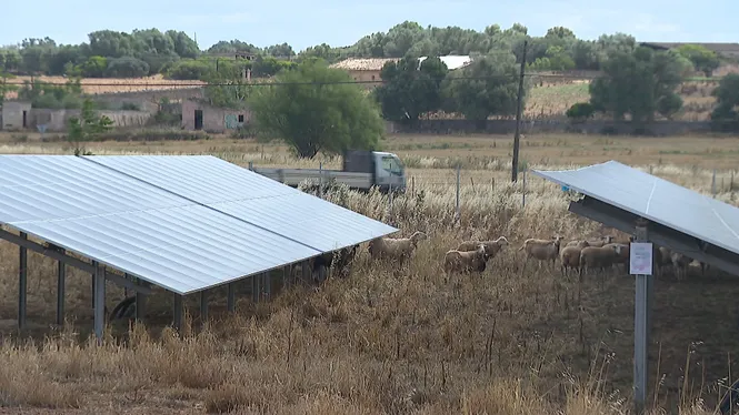 Renovables Sí, però aixó NO! proposa criteris territorials per als parcs fotovoltaics