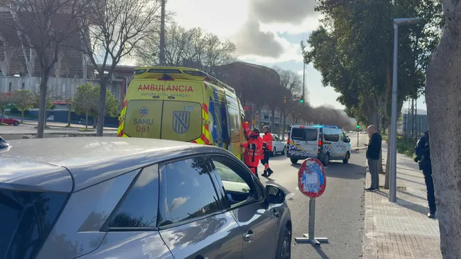 Un home rep dues punyalades a prop de Son Moix