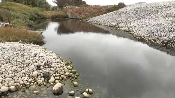 La Fiscalia investiga els vessaments d’AENA al Parc Natural de ses Salines