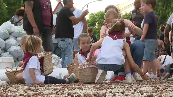 Les avellanes, a sacs, completen el Dia des Be