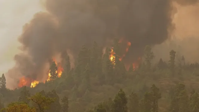 L’incendi de Tenerife continua sense control: més de 26.000 persones evacuades i 11 municipis afectats