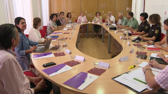 Prohens assegura que el Govern tendrà tolerància zero contra la violència masclista