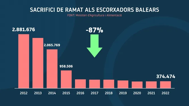 Baixen un 87% els sacrificis als escorxadors de les Balears a la darrera dècada