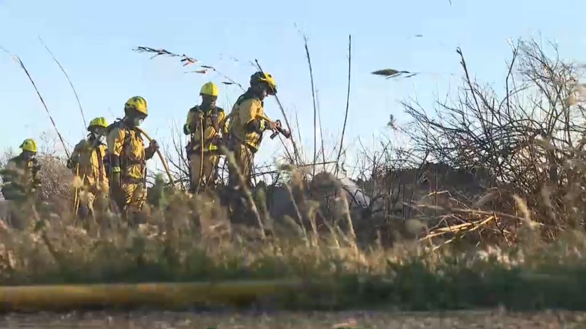 Segueix actiu l’incendi de s’Albufera de Mallorca