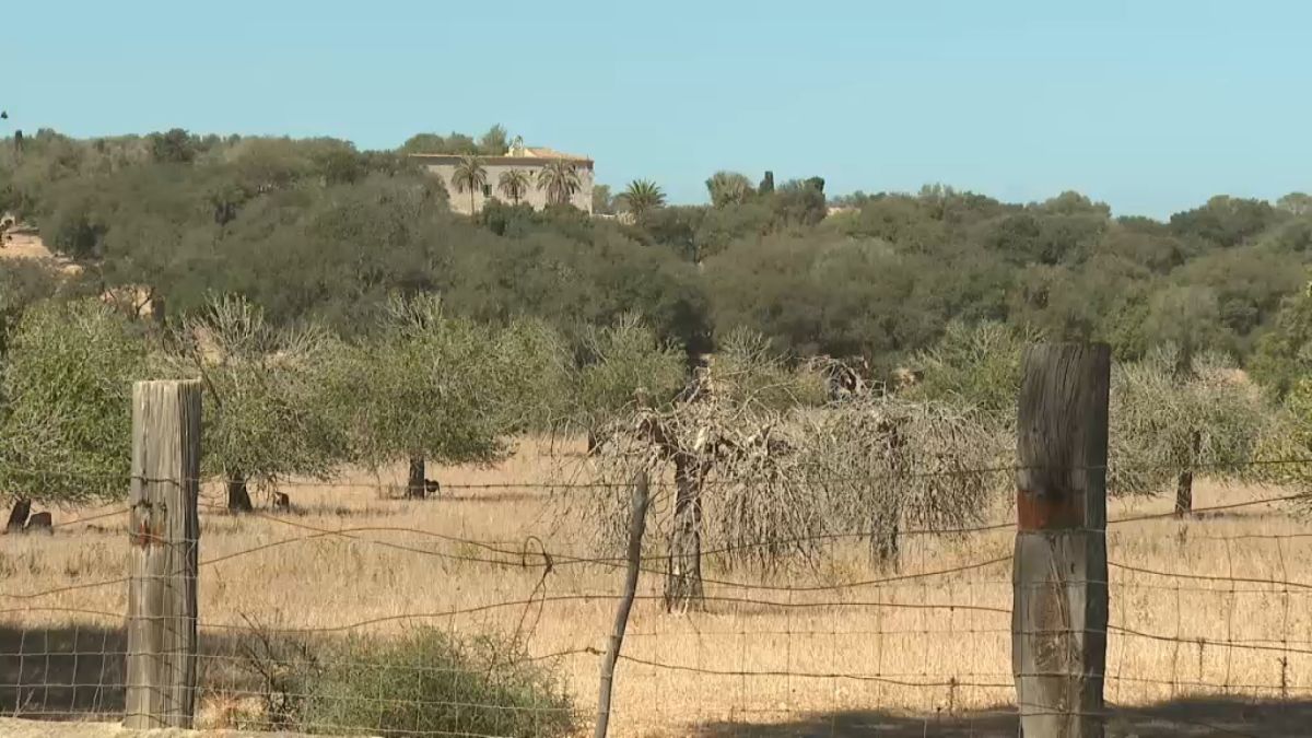 Satisfacció de veïnats i ecologistes per la suspensió dels permisos per a noves granges intensives a Sineu